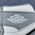 Dior x Air Jordan 1 High